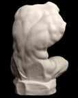 Belvedere Torso Reduction - Item