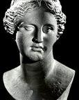 photo with black background of plaster cast bust of woman with up-do, namely Venus