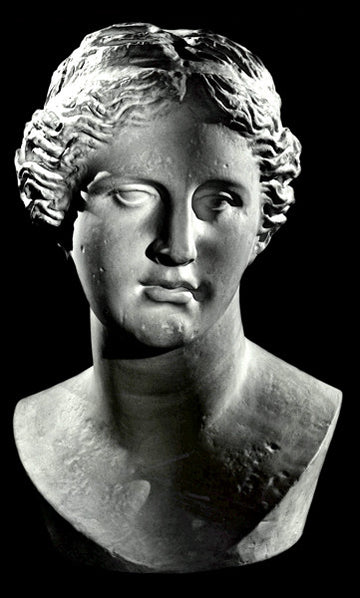 photo with black background of plaster cast bust of woman with up-do, namely Venus