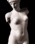Esquiline Venus - Item