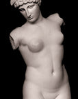 Esquiline Venus - Item