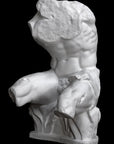 image of a plaster sculpture of nude male torso on a black background