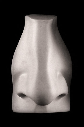 Photo of plaster cast sculpture of right nose from Michelangelo's David statue on a black background