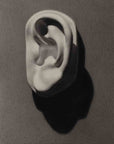 photo of cast sculpture drawing of left ear from Michelangelo's David statue against a gray background