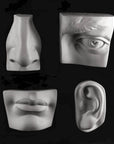 Photo of four plaster casts of nose, left eye, mouth, and left ear from Michelangelo's David statue on a black background