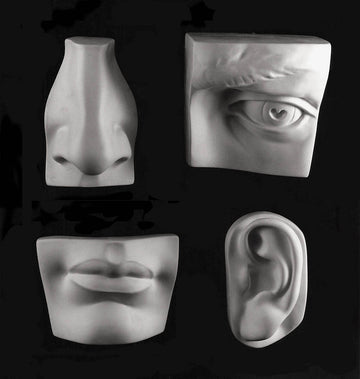 Photo of four plaster casts of nose, left eye, mouth, and left ear from Michelangelo's David statue on a black background