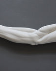 Photo of plaster cast sculpture of flayed arm with a gray background