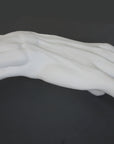 Photo of plaster cast sculpture of flayed arm with a gray background