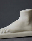 Photo of plaster cast of female left foot with a grey background
