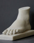 Photo of plaster cast of female left foot with a grey background