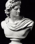 photo of plaster cast sculpture bust of man, namely the god Apollo, with hair piled high in the front and a broach near his neck holding robes on a black background