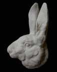 image of a plaster statue of a bust of a rabbit on a black background