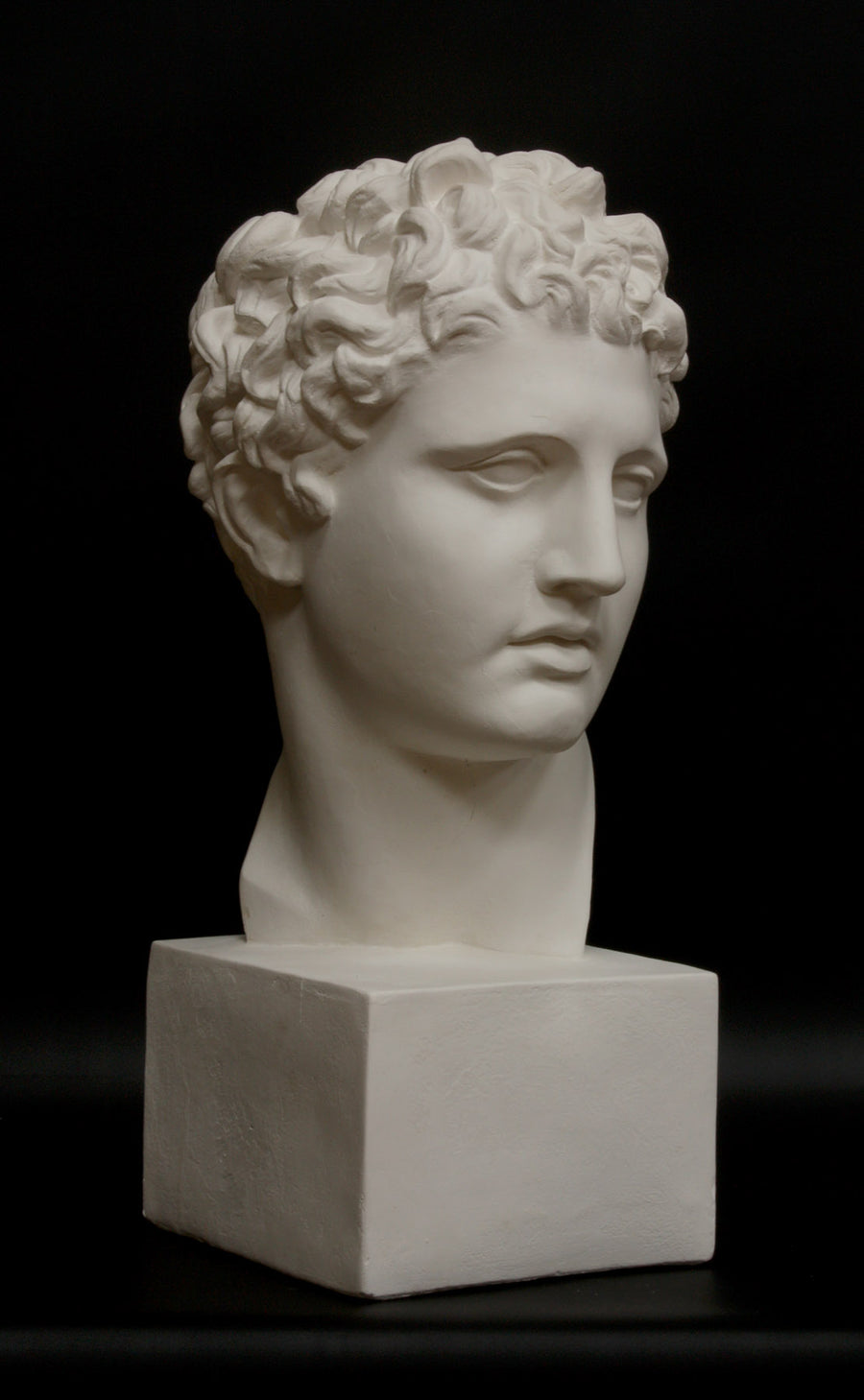 photo of white plaster cast of ancient sculpture of male head with curls, namely Meleager, on square base on black background