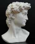 Photo of plaster cast sculpture of head from Michelangelo's David statue on a black background