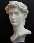 Photo of plaster cast sculpture of head from Michelangelo's David statue on a black background