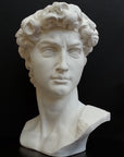 Photo of plaster cast sculpture of head from Michelangelo's David statue on a black background