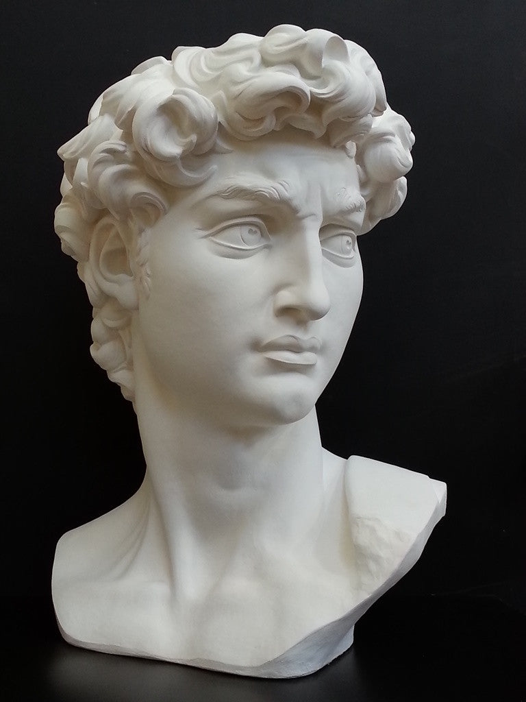 David Reduction Bust Sculpture for Sale, Item #96