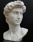 Photo of plaster cast sculpture of head from Michelangelo's David statue on a black background