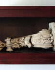 Photo of plaster sculptural ornament laying on it's side in a wooden shadowbox hanging on the wall