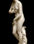photo of plaster cast sculpture of Venus standing nude with two putti riding a dolphin at her feet on black background