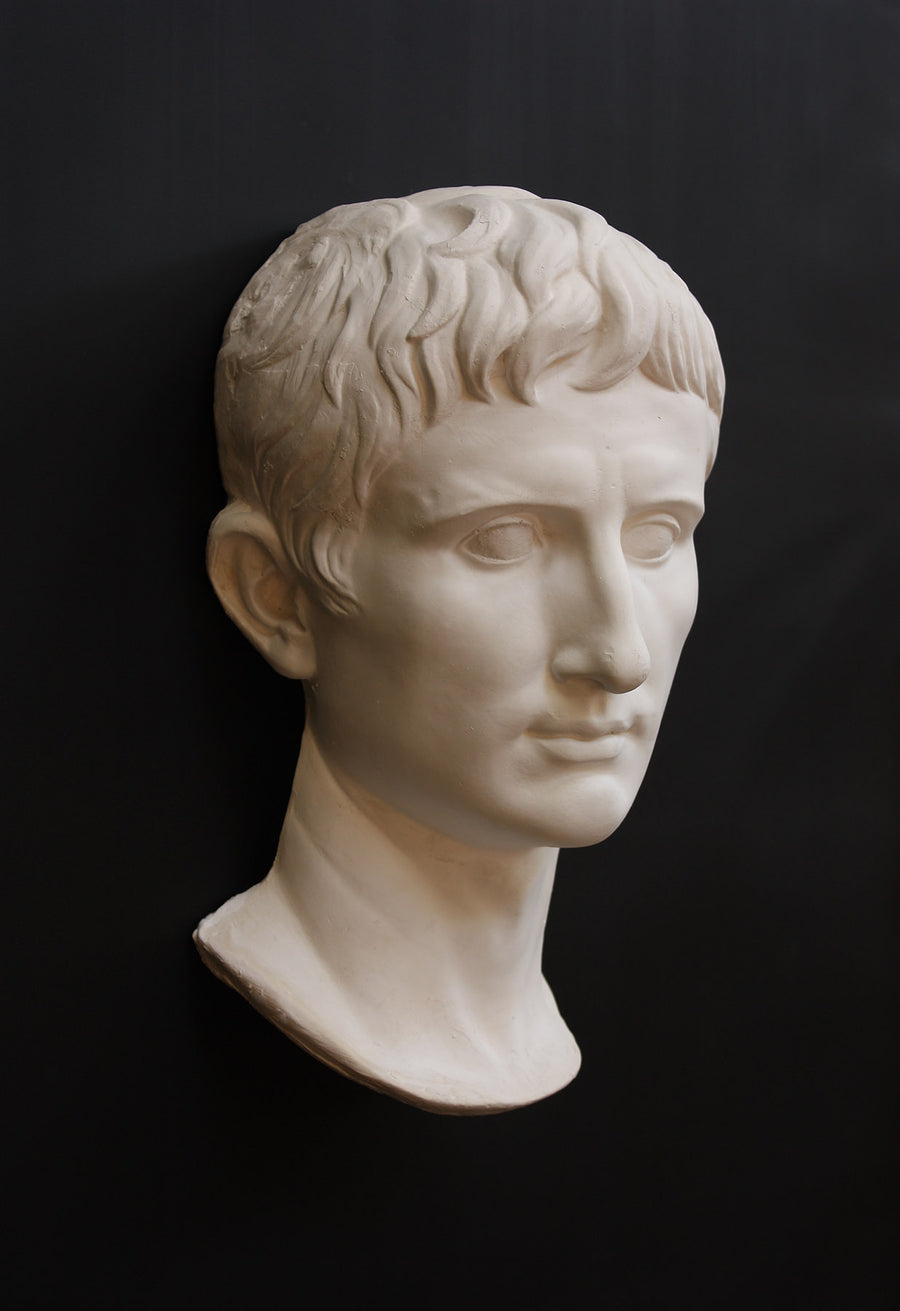 photo of white plaster cast sculpture of front half of head and neck of a male, namely Augustus Caesar, on black background