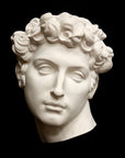 photo of white plaster cast mask of sculpture of head, namely Giuliano de Medici, on a black background