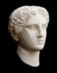 image of plaster cast sculpture mask of female, namely Athena, on a black background