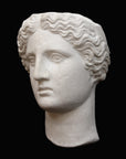 image of plaster cast sculpture mask of female, namely Athena, on a black background