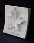 Photo of plaster cast of a relief of fig leaf, 3/4 view on a black background