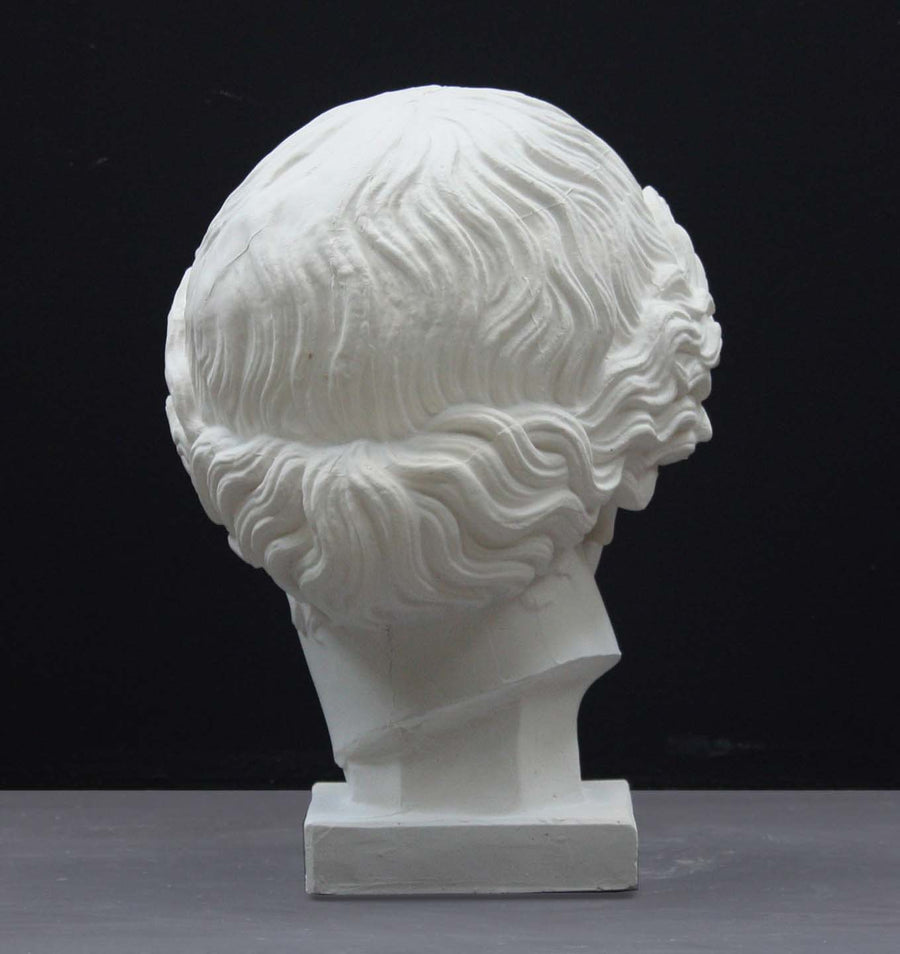 photo of plaster cast of sculpture of an Amazon head- female with pulled-back wavy hair on dark gray background
