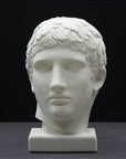 photo of plaster cast of sculpture of male head with flat, curly hair on dark gray background
