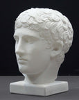 photo of plaster cast of sculpture of male head with flat, curly hair on dark gray background