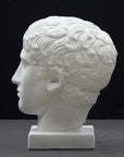 photo of plaster cast of sculpture of male head with flat, curly hair on dark gray background