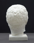 photo of plaster cast of sculpture of male head with flat, curly hair on dark gray background