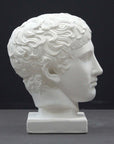 photo of plaster cast of sculpture of male head with flat, curly hair on dark gray background