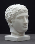 photo of plaster cast of sculpture of male head with flat, curly hair on dark gray background