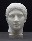 photo of plaster cast sculpture of head of the Doryphoros, male with curly hair, on dark gray background