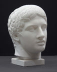 photo of plaster cast sculpture of head of the Doryphoros, male with curly hair, on dark gray background