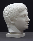 photo of plaster cast sculpture of head of the Doryphoros, male with curly hair, on dark gray background