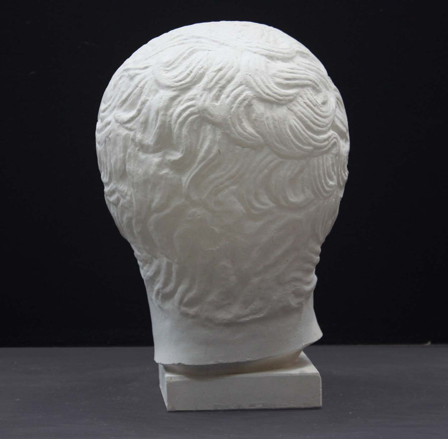 photo of plaster cast sculpture of head of the Doryphoros, male with curly hair, on dark gray background