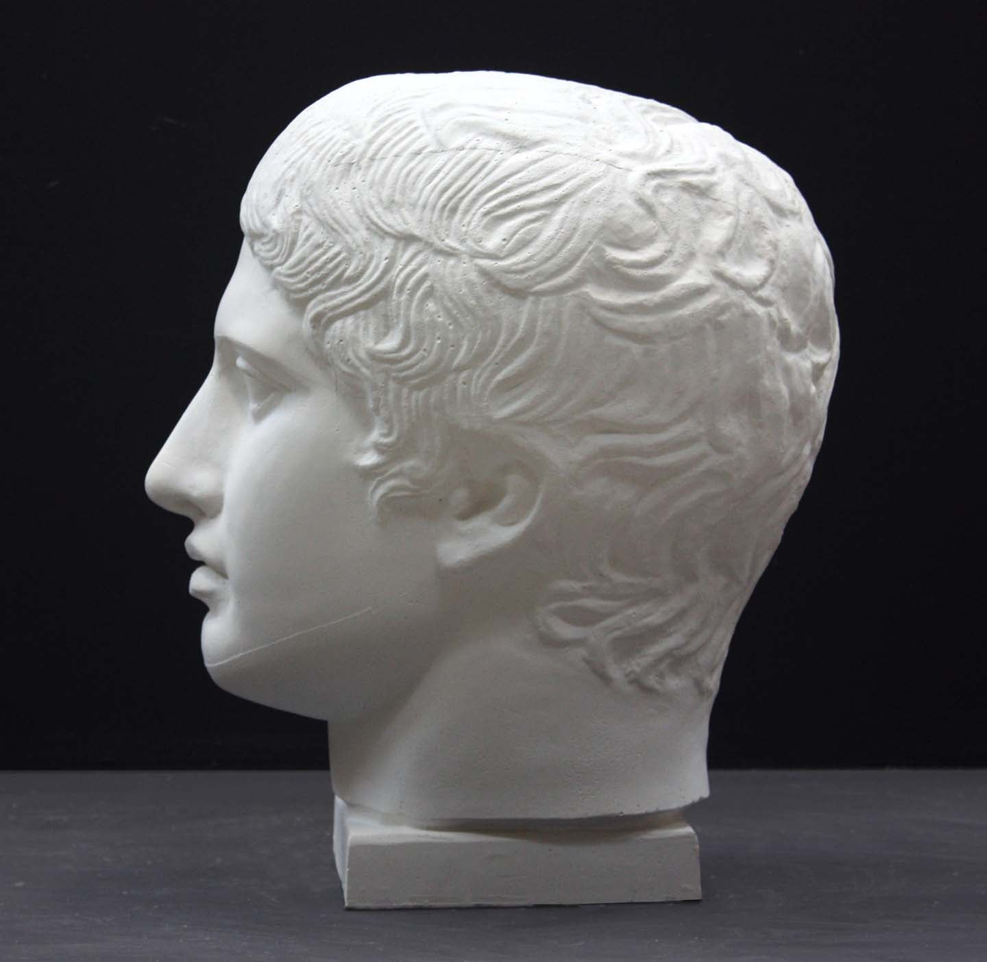 photo of plaster cast sculpture of head of the Doryphoros, male with curly hair, on dark gray background