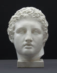 photo of plaster cast sculpture of head of Lansdowne Hercules with curly hair and headpiece on dark gray background