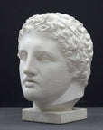 photo of plaster cast sculpture of head of Lansdowne Hercules with curly hair and headpiece on dark gray background