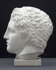 photo of plaster cast sculpture of head of Lansdowne Hercules with curly hair and headpiece on dark gray background
