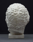 photo of plaster cast sculpture of head of Lansdowne Hercules with curly hair and headpiece on dark gray background