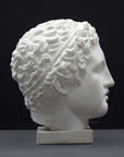 photo of plaster cast sculpture of head of Lansdowne Hercules with curly hair and headpiece on dark gray background