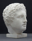 photo of plaster cast sculpture of head of Lansdowne Hercules with curly hair and headpiece on dark gray background