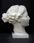 Photo of plaster cast of a blocked female head, side view, on a black background