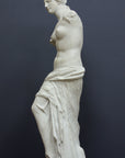 Photo of plaster cast sculpture reproduction of Venus de Melo, side view, on a grey background