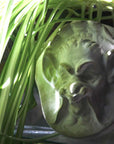 Photo of plaster sculpture of a Faun Head with dappling light and a spider plant on the left